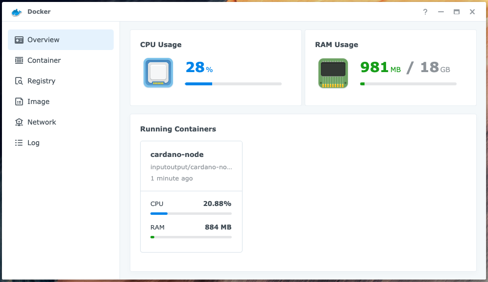 Docker - Run the image